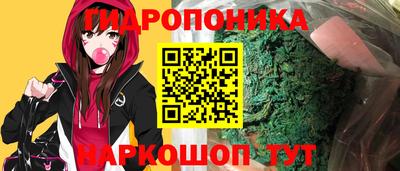 молекула духа Заводоуковск