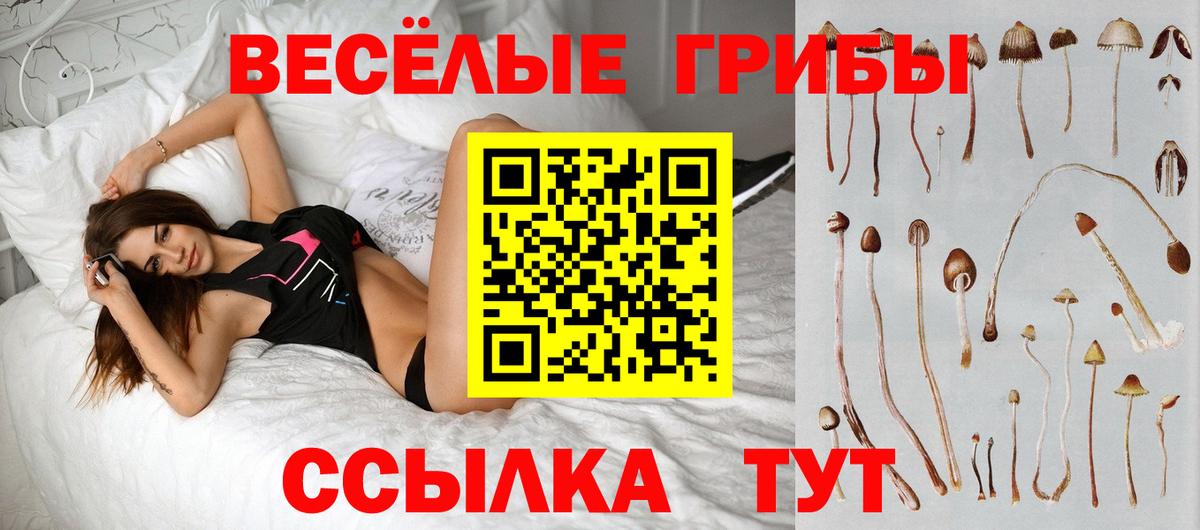 Миллерово  Галлюциногенные грибы Cubensis  Вход с VPN 
